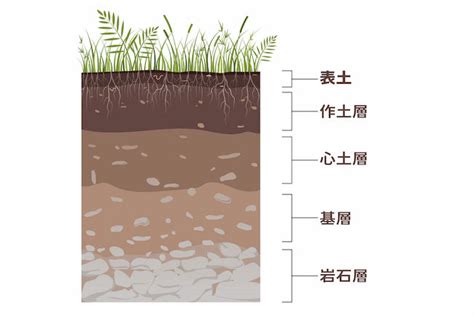 土 構成|土壌